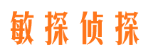 清涧市调查公司